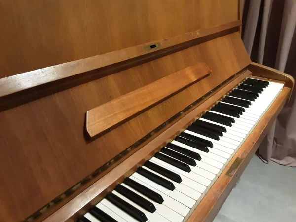 Pianoforte Verticale Bechstein A114 - immagine 5